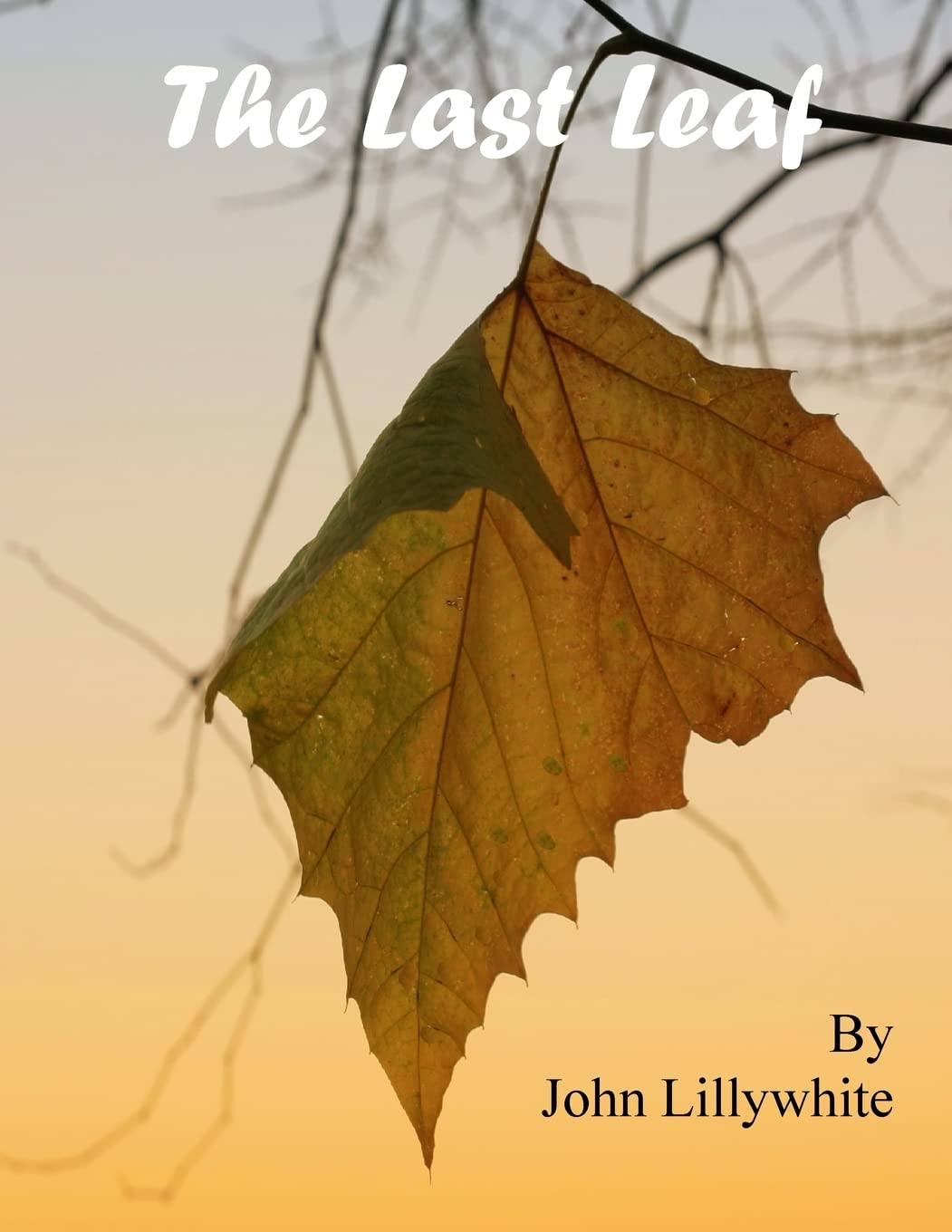 The Last leaf by Author’s book & bookmarks – book cover