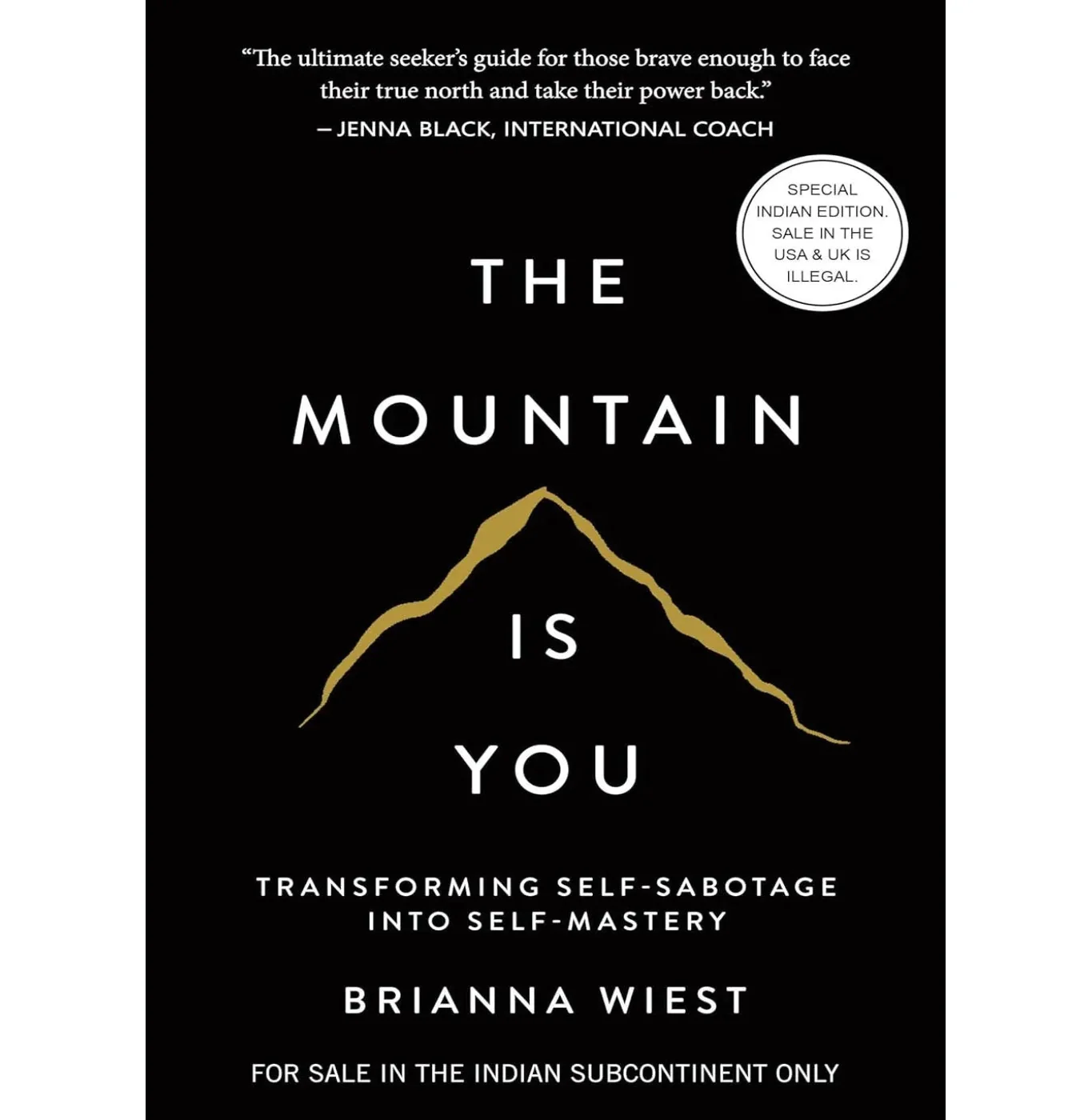 The Mountain Is You by Brianna Wiest